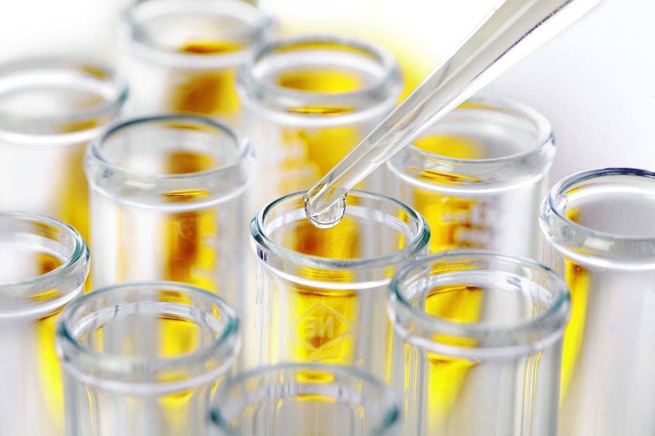 防蟻技術の研究開発